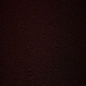 Meet your Posher, Armando